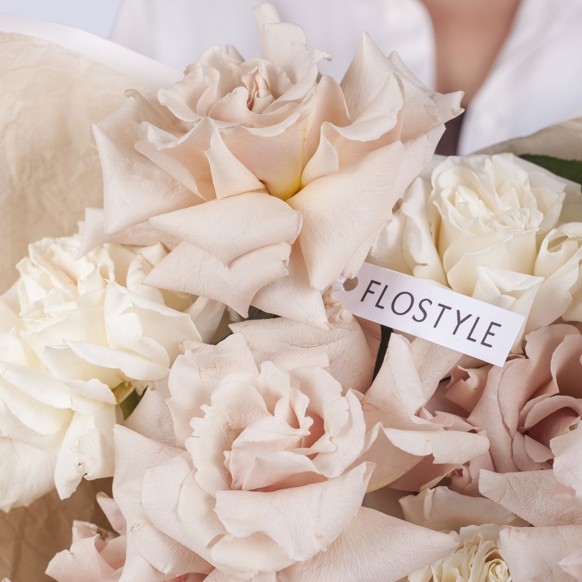 francuzskie rozy nezhnye 7